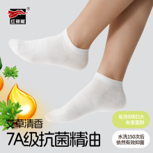 红辣椒夏季袜子女薄款精油袜盒装防臭吸汗短筒袜7A抗菌休闲袜批发