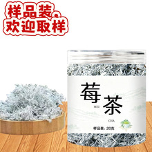 张家界永顺莓茶野生芽尖莓茶 样品装 20克