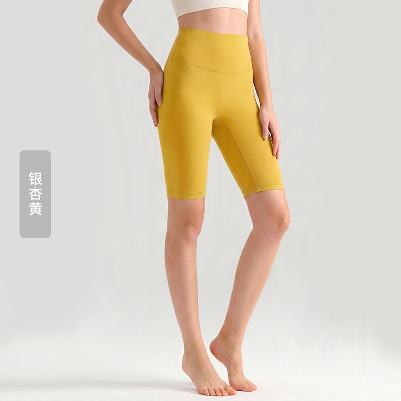 WFK5038 은행나무 노란색
