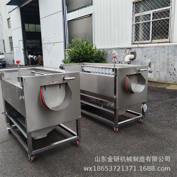 不锈钢牛蹄牛头毛刷机全自动花甲去泥机设备果蔬加工毛刷清洗机