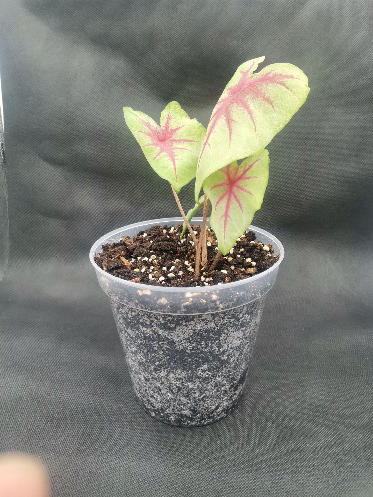 微信图片_20210913111739