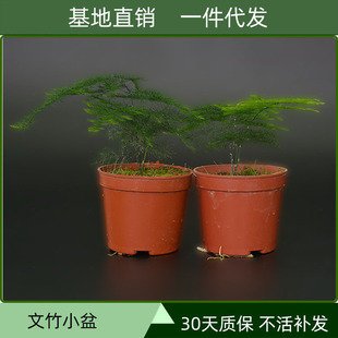 ����ֱ�N����С����������W�����������������l