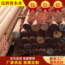 ���l�t�Fľ ���� ��ľ �ذ���� ���޲��}�� ���sľ