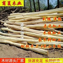 ��ľԭľ�̻�ԭľȥƤ���С��ľ�����������Θ����ľ���