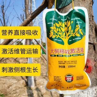 Tree Nutrient Solution Universal Large Tree Hanging Agent Persimmon Tree Fortune Tree Leaf Yellow Growth Transplant Sapling Hanging Needle Small
