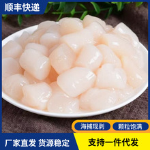 新鲜冷冻瑶柱鲜活切割速冻扇贝柱带子肉元贝柱商用海鲜水产批发