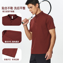 �\����ʿ���It�� Ӗ�������¸ߠ���W����ļ�POLO���羳�\�����e