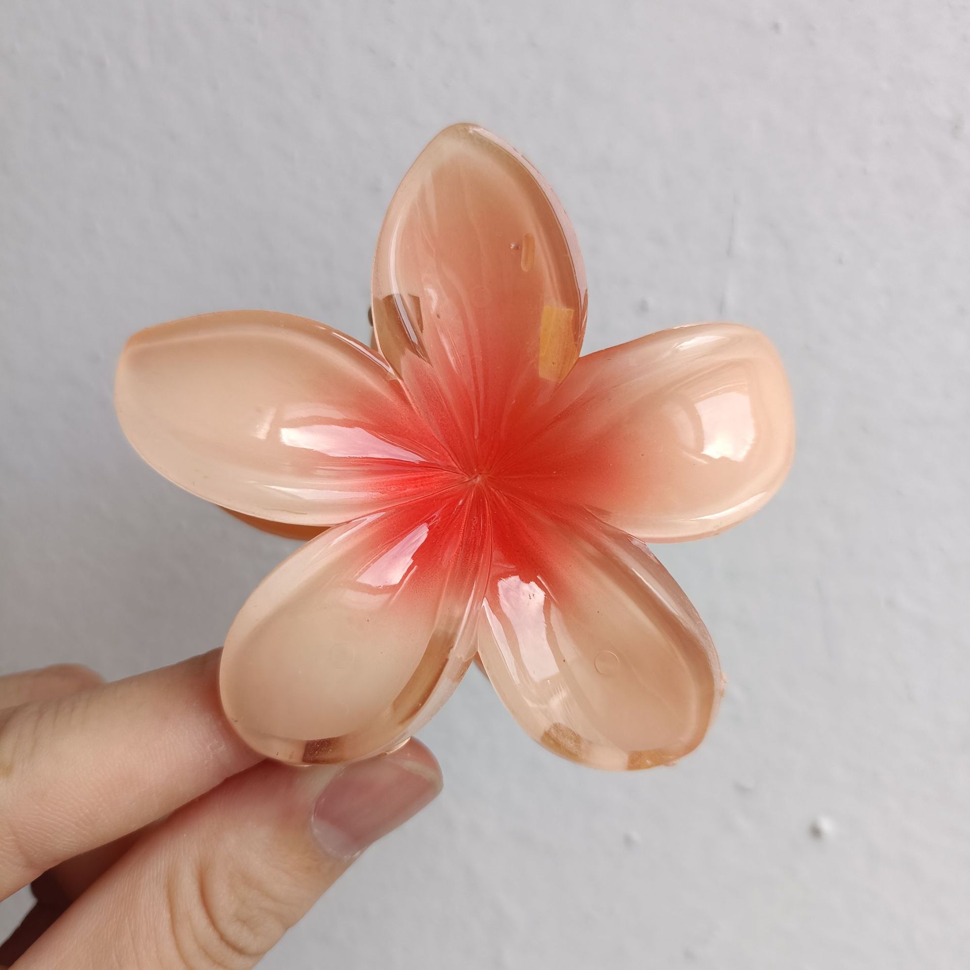 【62】8cm