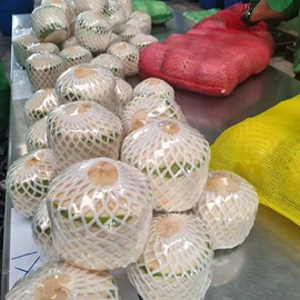 番薯类;柑桔;苹果