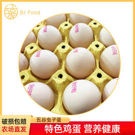 五谷虫子鸡蛋 高蛋白高营养 生态散养新鲜鸡蛋农家农场养殖直发