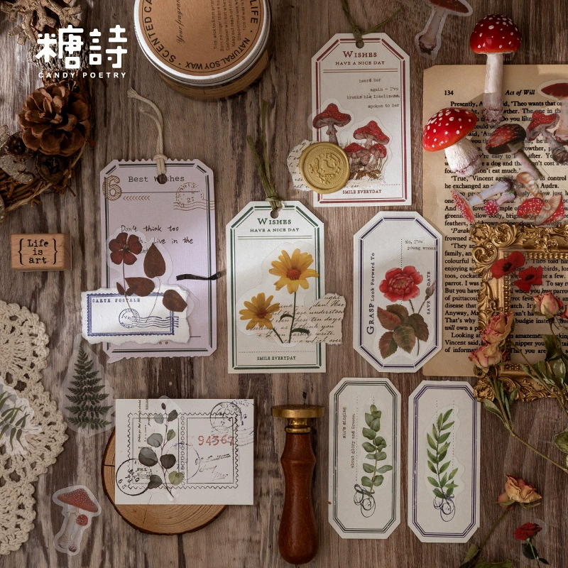 Наклейки (Tangsi) Plant Nature Series PET, набор Retro DIY для декора — 8 дизайнов