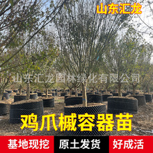 ֲuצluצɻʸ߼ֲuצʻͥԺNֲ