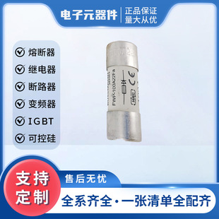 Fwp-100A22Fa Fwp-250A Low Voltage Fast Fuse New Original Large Quantity