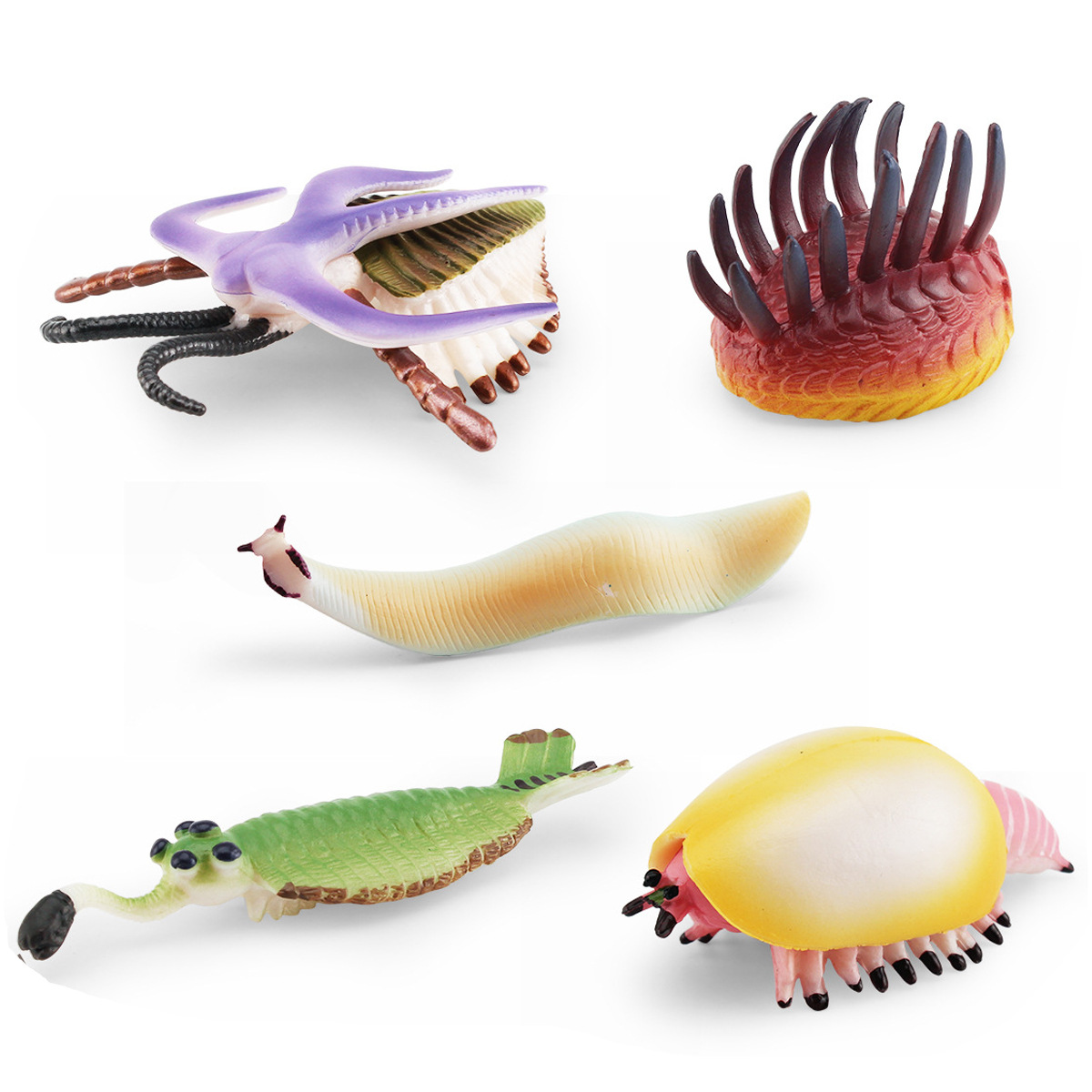 Simulación cámbra animal marino antiguo weiwasia insecto obabin mar escorpión recogida insecto modelo adornos estáticos