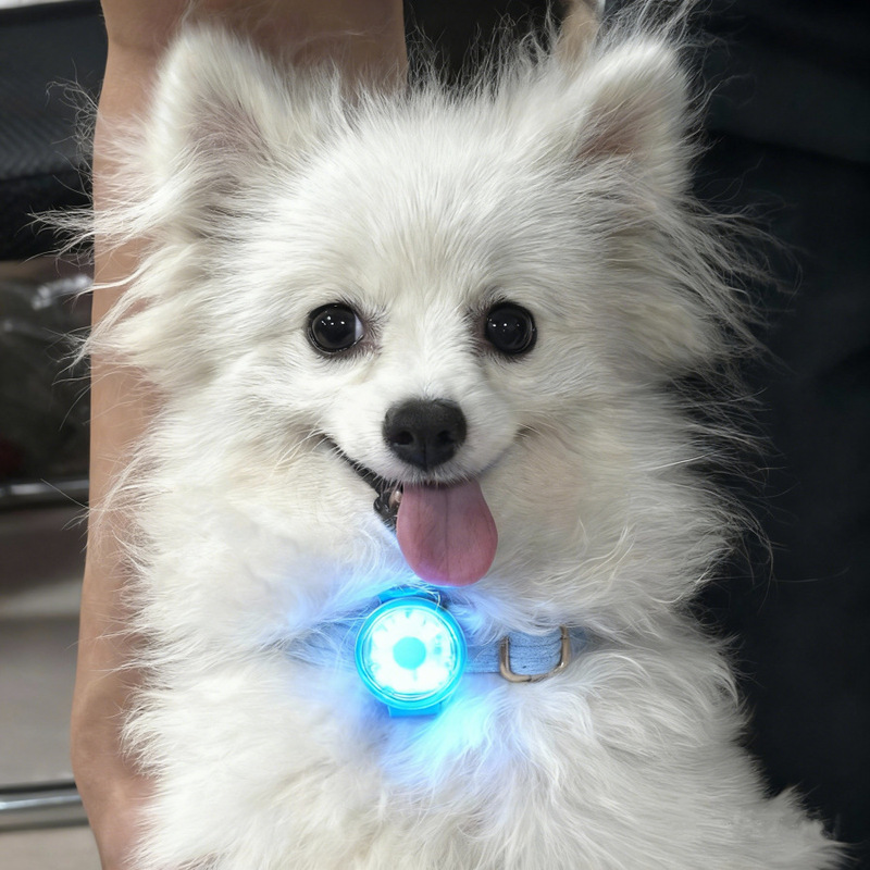 Pet glow light dog walking light out anti-lost dog night light led glow pendant cat tag dog light pet tag
