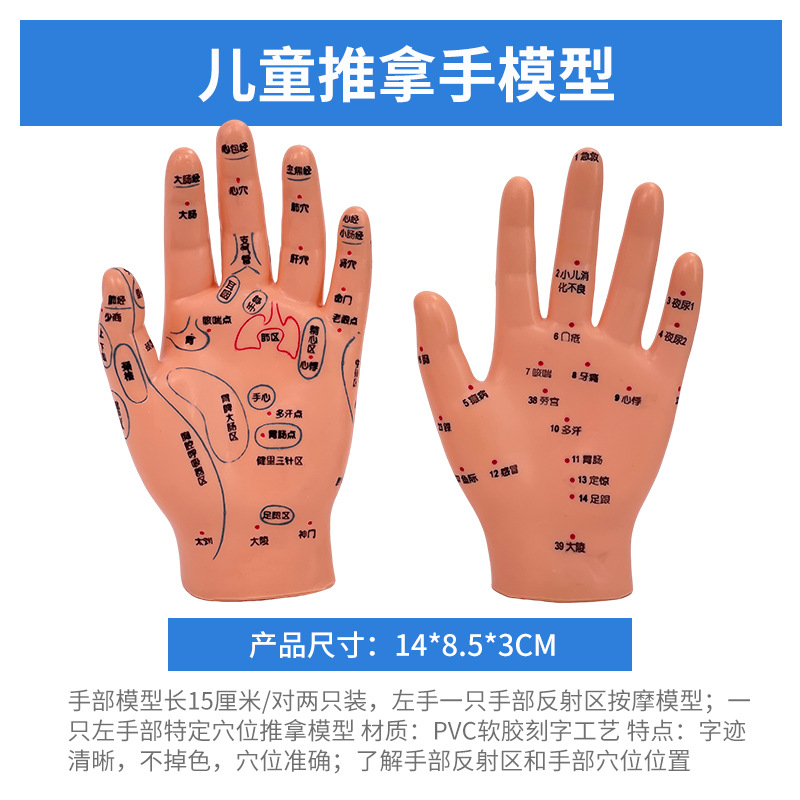 ȫ��Ѩλ���޾���ͼ��Ħ����ҽС�����ý�ѧ������ɩ��ѵ����ģ��