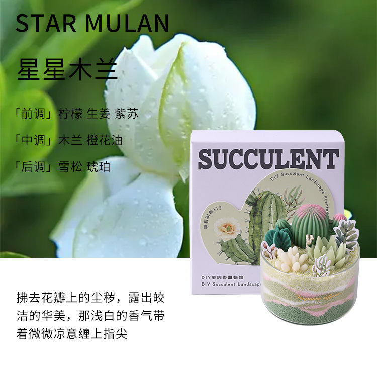 Serie de Velas Aromáticas de Suculentas DIY, Divertido Salón de Manualidades, Recuerdo con Forma de Cactus, Venta al por Mayor