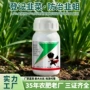 复配防虫杀虫剂虫螨农药