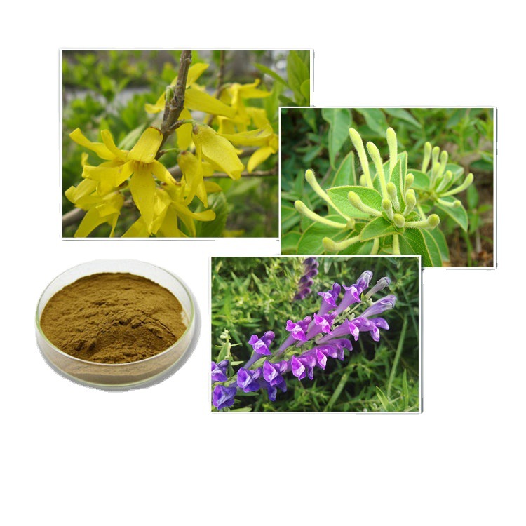 双黄莲提取物  双黄连粉末 水溶 棕黄色 双黄连 浩洋生物