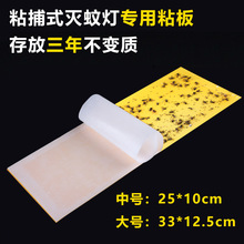 ڃßω10bճʽωNճxnωļ