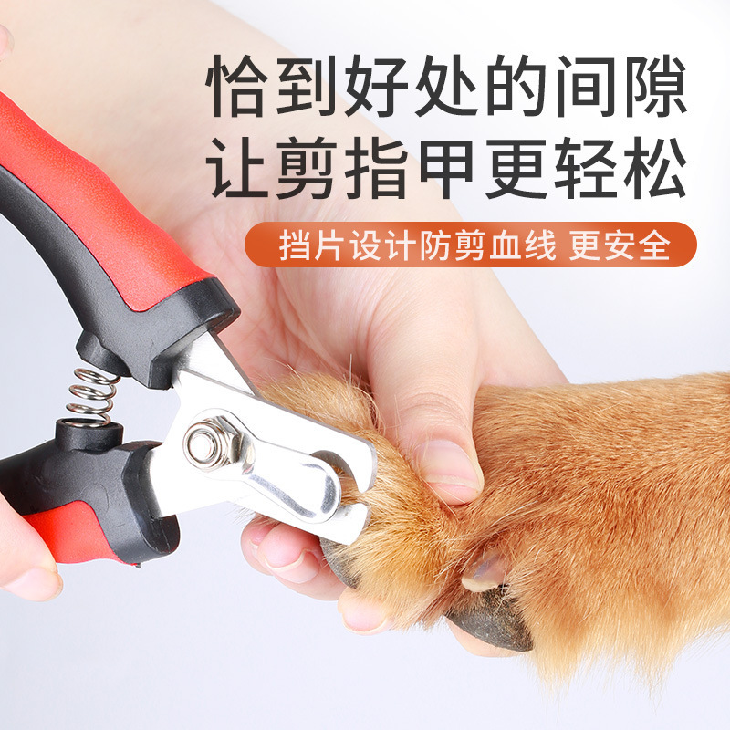 Perro tijeras de uñas de cabello dorado tijeras de uñas de cabello dorado conjunto especial para uñas de perros