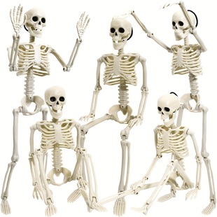 �f�}���������t���P���ɄӹǼ��f�}�Ɍ��b���Ʒ������ݔ[���b�