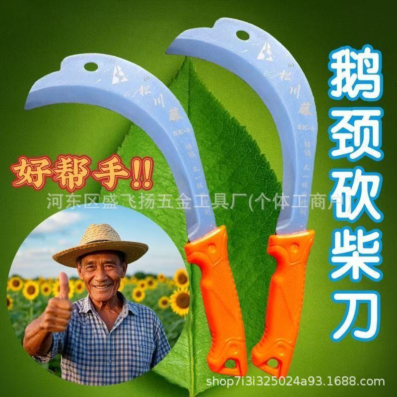 微信图片_202505211520342.jpg
