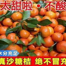 �V��ɳ�ǽ۱�Ƥ����ɰ����С�������r���]��������ٮ���ˮ�����l