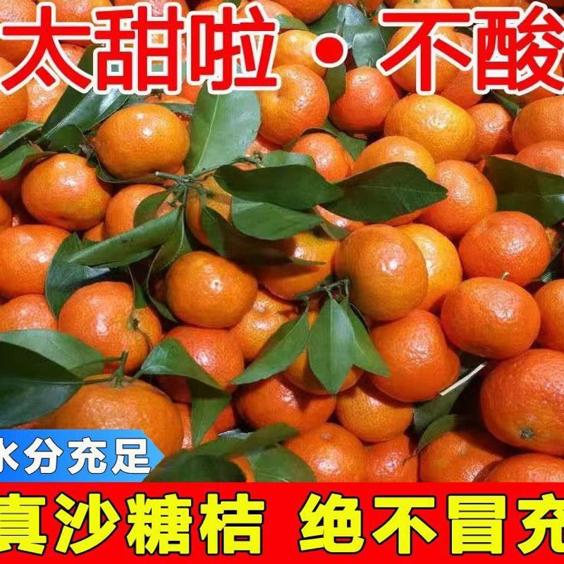 广西沙糖桔薄皮桔子砂糖橘小橘子新鲜甜整箱柑橘当季水果包邮