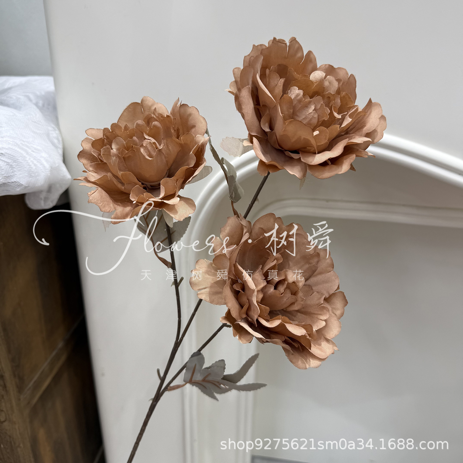 Xiantao 모란 커피 색상