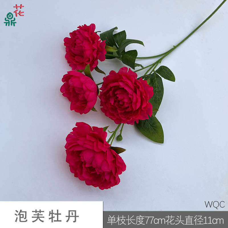 퍼프 모란 WQC 로즈 레드