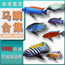 ���������~ �җ������t �R���������Ӵ����~ �����t��¡�ϟᎧ�~