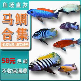 ���������~ �җ������t �R���������Ӵ����~ �����t��¡�ϟᎧ�~