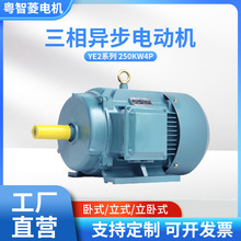 YE3 250KW4P(250千瓦4极)多型号交流电机工厂直供三相异步电动机