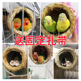 �ݾ�С�B�C�W�^���P��Ƥ�g���^����Ʒ�B�\�B������B����ů��ֳ��