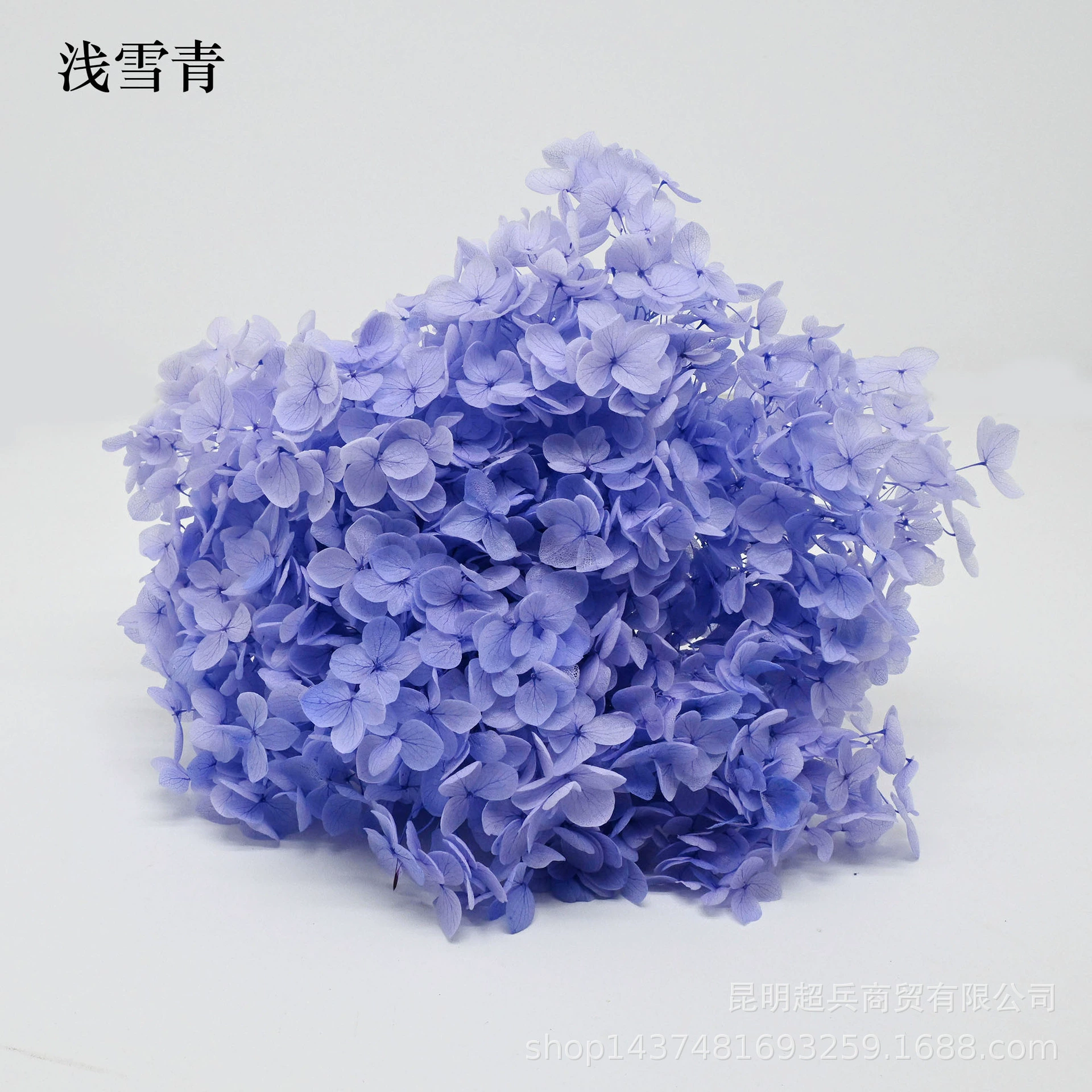 [Вечная Life Flower Hydrangea] Анна Градиентный цвет Лист Hydramid Книга цветов оптом DIY цветочная коробка материал для просмотра