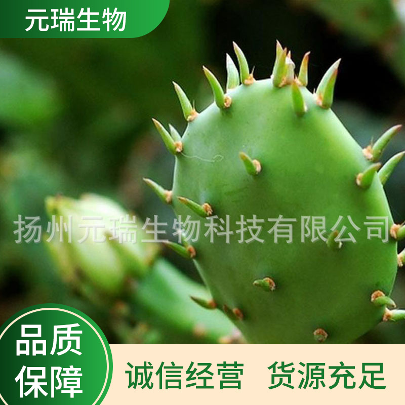 厂家直供植物提取液化妆品护肤品原料仙人掌提取液仙人掌萃取液