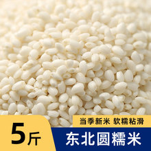 Ŵ2025ז|峣r҈AŴװ׾ưŴ5