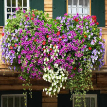 �S�����l�M�ڶ໨����ţ�N�Ӵ��＾�� �҃��̨�����ļ��׷N����