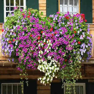 �S�����l�M�ڶ໨����ţ�N�Ӵ��＾�� �҃��̨�����ļ��׷N����