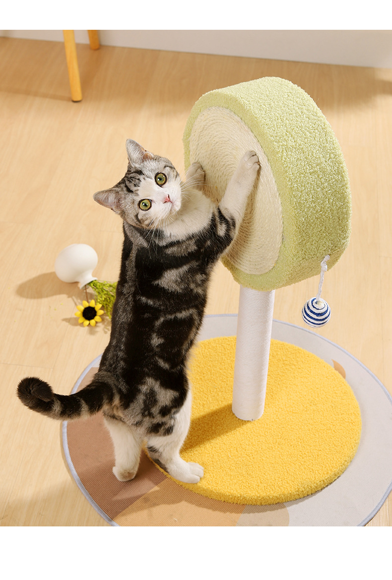 Cat scratching post green rattle column turntable