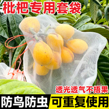 枇杷套袋专用袋防虫防鸟水果桃子果袋枇杷果莲雾苹果防虫神器纱雨