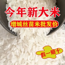 【絲苗米】長粒香大米批發廠家直銷大米新米2022年燦米生榨米