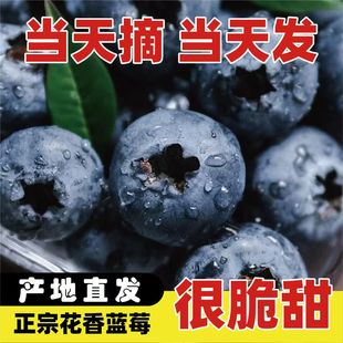 ����{ݮ�r�����r�߶�ˮ���������w��ɽL25�����ЋD������]���\