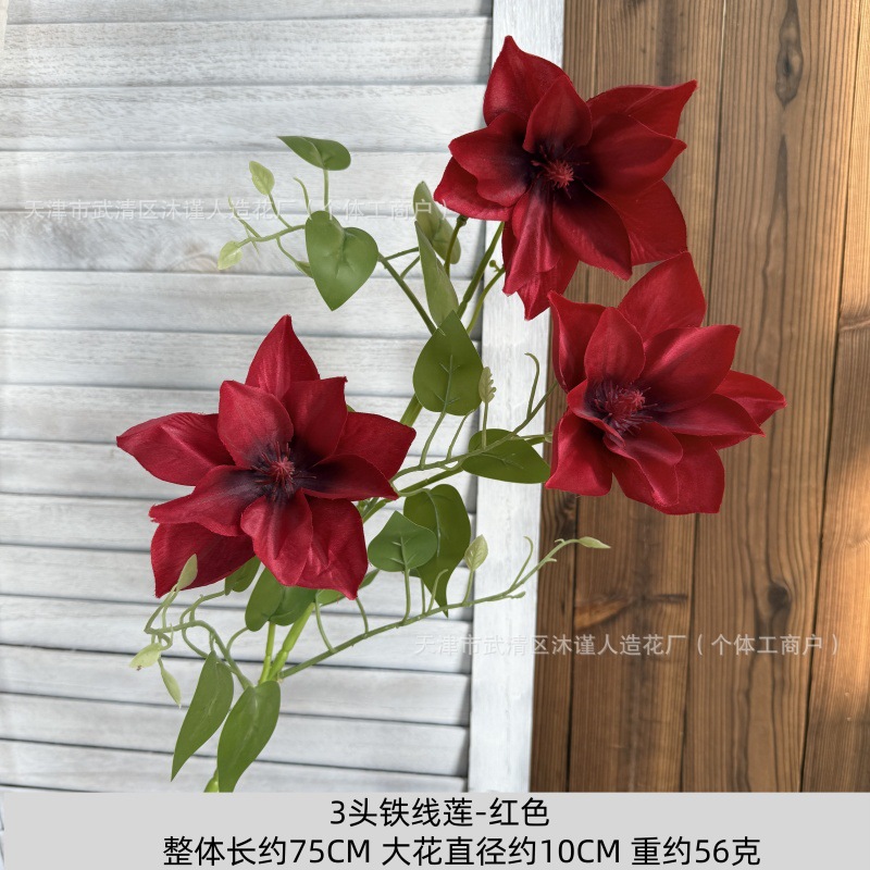 클레마티스 3개