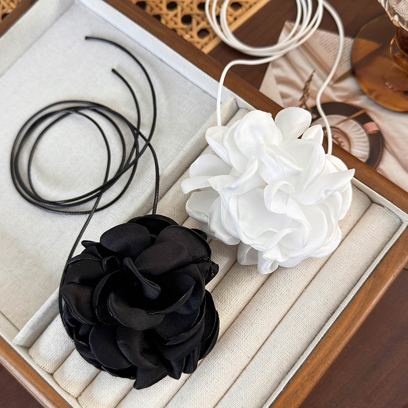 2024_03_22_15_23_IMG_3539