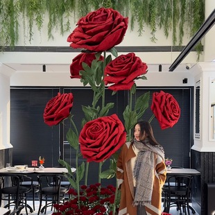 ����õ�廨��ˇˇ��Y�������b��Ҿ����˹���ꐙ���