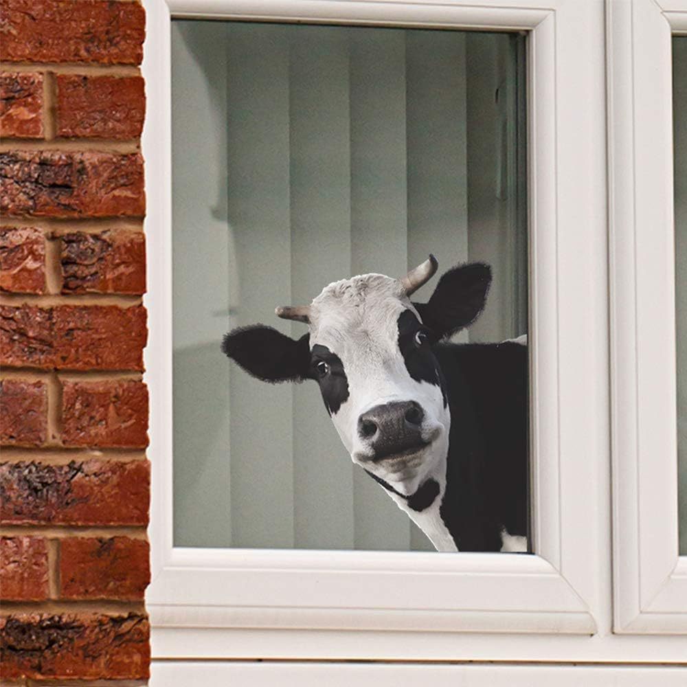 Amazon adorable vaca decal de ventana automóvil granja sala de aula habitación de niños decoración de casa pegatinas image 2