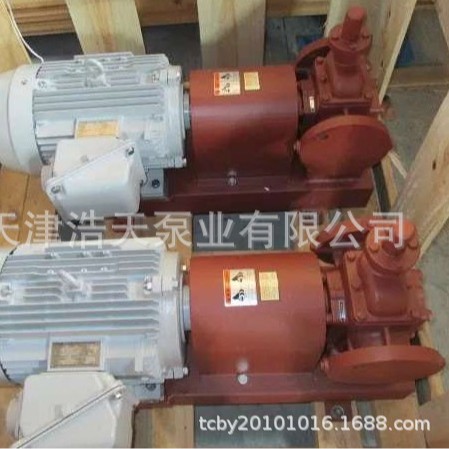 圆弧齿轮泵RCB 铜齿轮泵 润滑齿轮泵 高压齿轮泵 船用齿轮泵