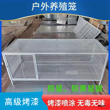 鸡笼鸽笼兔笼家禽笼防鼠防蛇防黄鼠狼家用养殖厂家直销冲孔网